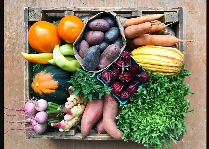 Old Town Farm-to-table - Gourmet Adventure With Pool *